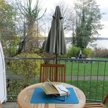 Seagull * Bad Saarow