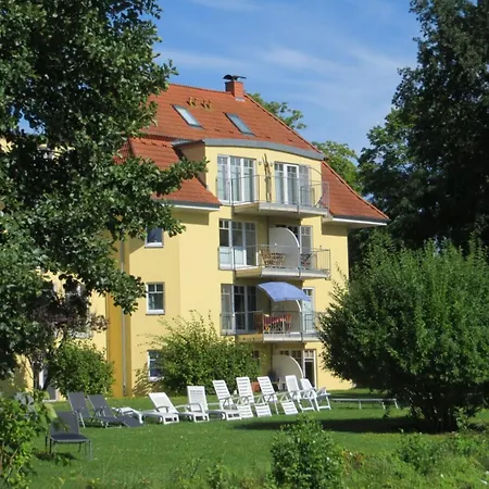 Seagull * Bad Saarow