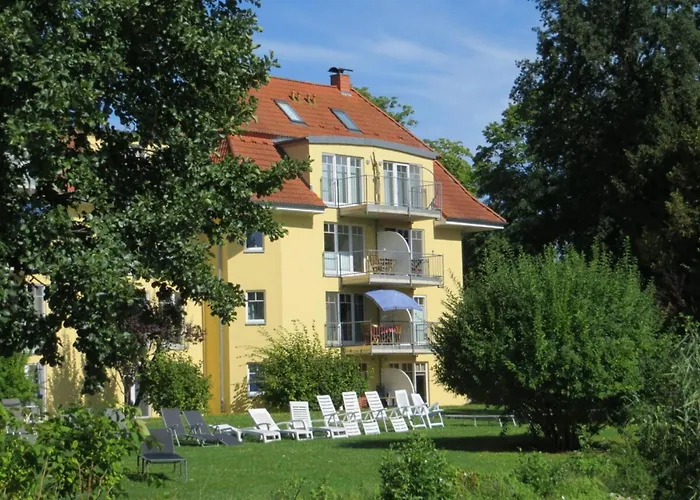 Seagull * Bad Saarow