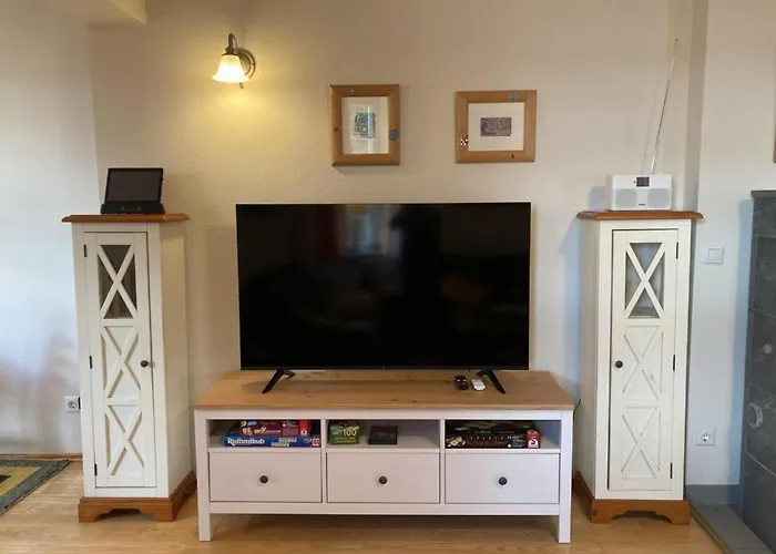 Seagull * Bad Saarow