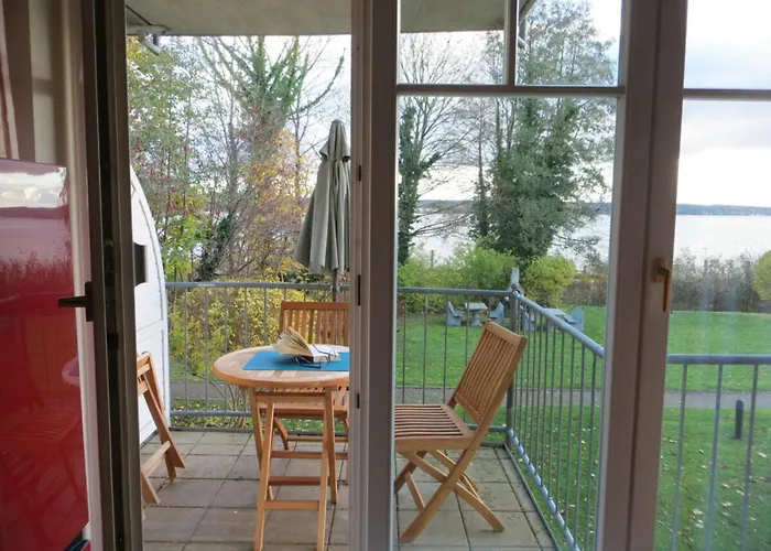 Seagull * Bad Saarow